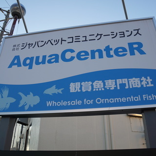 【一般事務】熱帯魚などに囲まれてお仕事♪ 週3～OK！時間や曜日は応相談◆未経験歓迎！少人数のオフィスで働きやすい☆自動車/バイク/自転車通勤OK！の画像