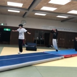 大人のバク転教室@徳島の画像