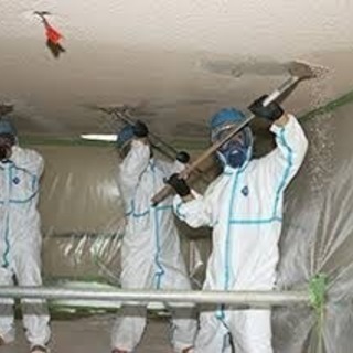 アスベスト除去作業員大募集！！！！の画像