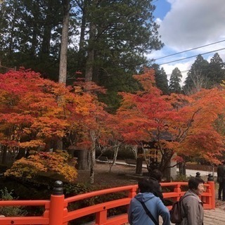 ✨色々な事して楽しみましょー✨