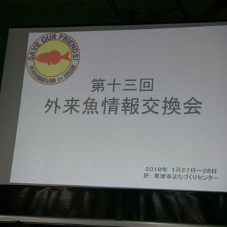 第十四回「外来魚情報交換会」
