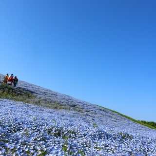 【カメラ旅部-Ein Foto-】カメラ片手に一緒に旅に出かけませんか？ - 友達
