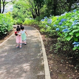 森のようちえん。川口市、草加市、足立区、越谷市での自主保育、お外遊び - 川口市