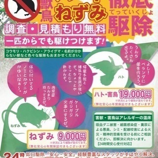 ネズミ徹底駆除業者 クリーン計画 - 横浜市