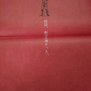 中国新聞11/5広告「結局、新井は凄かった。」