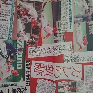 中国新聞11/5広告「結局、新井は凄かった。」の画像
