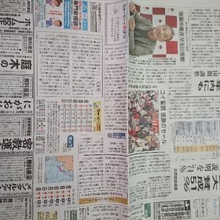 中国新聞11/5広告「結局、新井は凄かった。」の画像