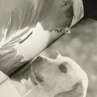 📚・盲導犬クイールを育てた訓練士　📚　🐕ハーネスを付け尻尾を振り...