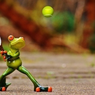 【11/11開催】🎾初心者大歓迎★テニス交流会