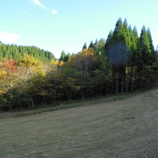 土地を売ります。１，６２５㎡　約４９１坪