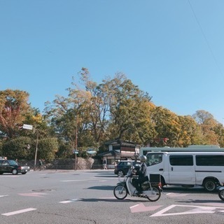 丸太町周辺で朝さんぽ仲間募集