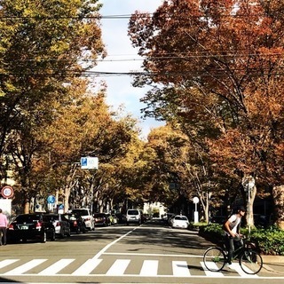 丸太町周辺で朝さんぽ仲間募集 - 京都市