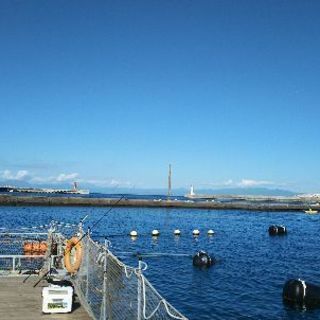 釣り仲間募集