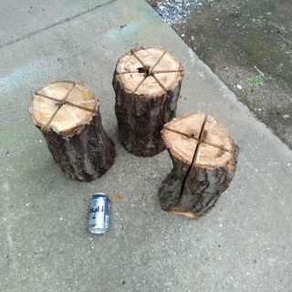 広葉樹クリのスウェーデントーチ(スウェディッシュトーチ)アウトレ...