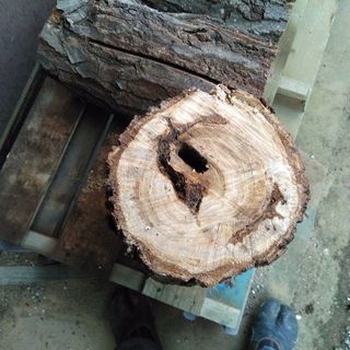 広葉樹クリのスウェーデントーチ(スウェディッシュトーチ)アウトレット品！中サイズ。茨城県潮来市。の画像