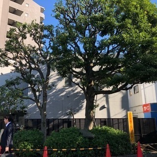 造園工 手伝って下さい！！　日給12000〜18000円の画像