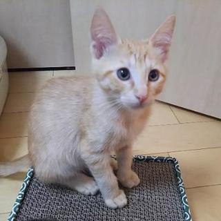 性格◎兄弟かずくん