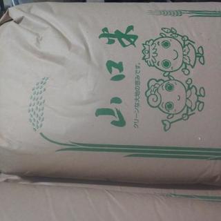 有機栽培きぬむすめ無洗米　10㎏