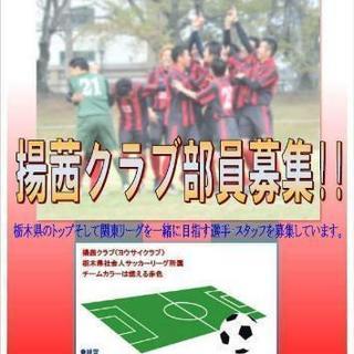 社会人サッカーの部員募集です❗