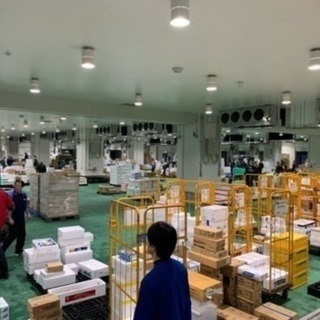  豊洲市場内軽作業 時給1300円 交通費全額支給 賞与有 年齢不問 長期安定のお仕事ですの画像