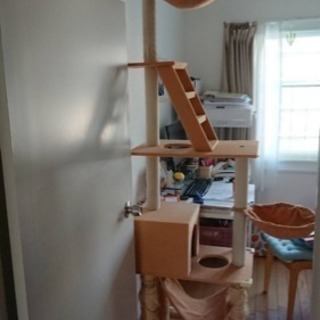 キャットタワーの画像