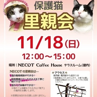 ネコ好きによる、ネコのための里親会
