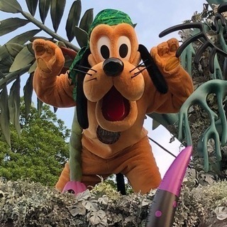 明日行くディズニー