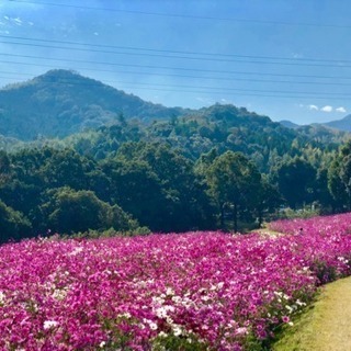 旅行好きの方募集