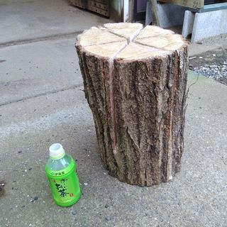 広葉樹コナラのスウェーデントーチ(スウェディッシュトーチ)。中、大サイズ。茨城県潮来市。の画像