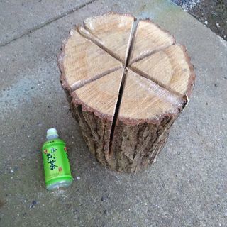 広葉樹コナラのスウェーデントーチ(スウェディッシュトーチ)。中、大サイズ。茨城県潮来市。の画像