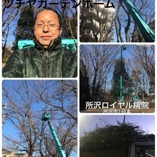 高木剪定 伐採店 ツチヤガーデンホーム【所沢市 入間市川越市志木...