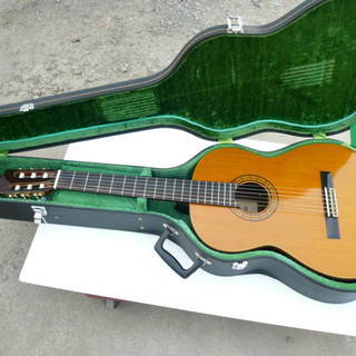 タカミネ TAKAMINE クラシックギター No.30 ハード...