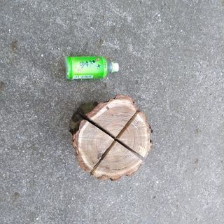 広葉樹クリのスウェーデントーチ(スウェディッシュトーチ)！中低サイズ。茨城県潮来市。の画像