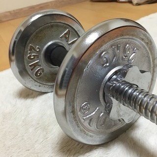 トレーニング仲間( ＾∀＾)