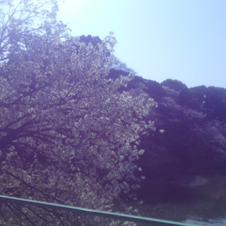 自分とご先祖様の過去を変えることができる。全てへの答えはあなたの中に宝としてあった。の画像