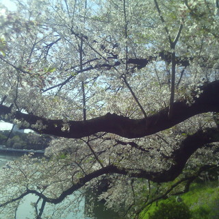自分とご先祖様の過去を変えることができる。全てへの答えはあなたの中に宝としてあった。の画像
