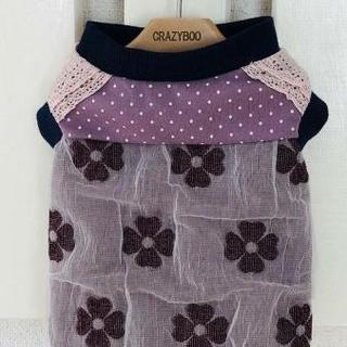 保護犬猫の譲渡会&ワンニャンマルシェ開催 - フリーマーケット