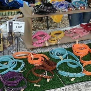 保護犬猫の譲渡会&ワンニャンマルシェ開催 − 愛媛県