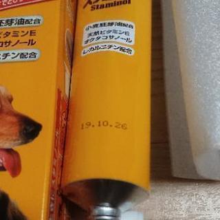 スタミノール 100gチューブの画像