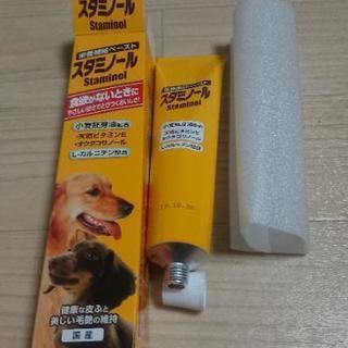 スタミノール 100gチューブの画像