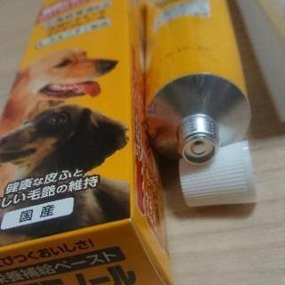 スタミノール 100gチューブの画像