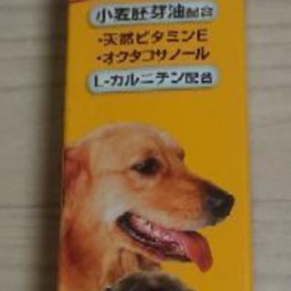 スタミノール 100gチューブ