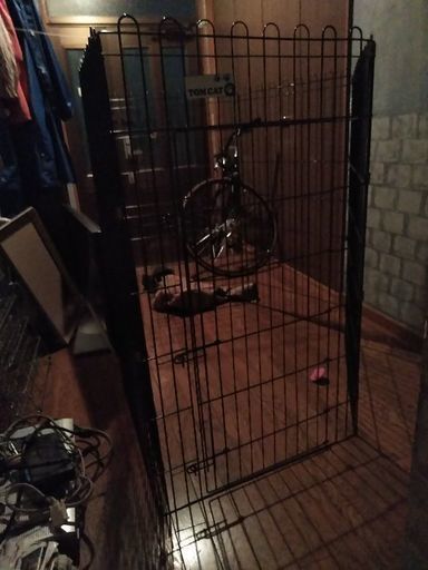 引取限定！犬ゲージ トムキャット　TOMCAT
