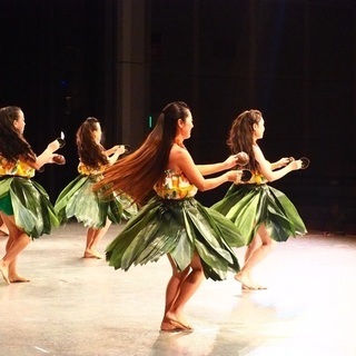 フラダンス  無料体験受付中の画像