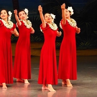 フラダンス  無料体験受付中の画像