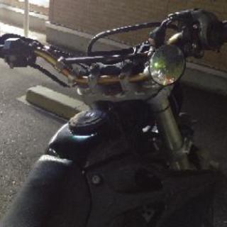 KLX250SRの画像
