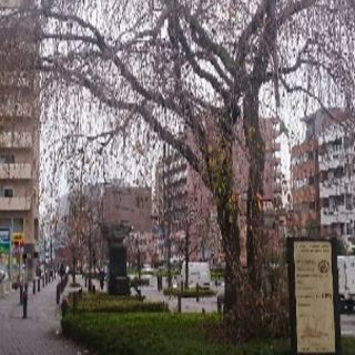 町田市近辺でご近所友達探してます！