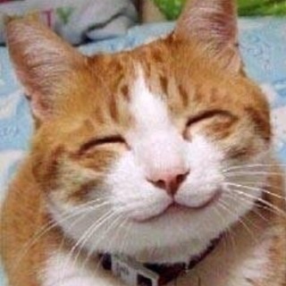 友達探しランチ会いかがですか？