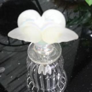 天使のベルの画像