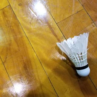 11月25日 一緒にバドミントンやりませんか??笑